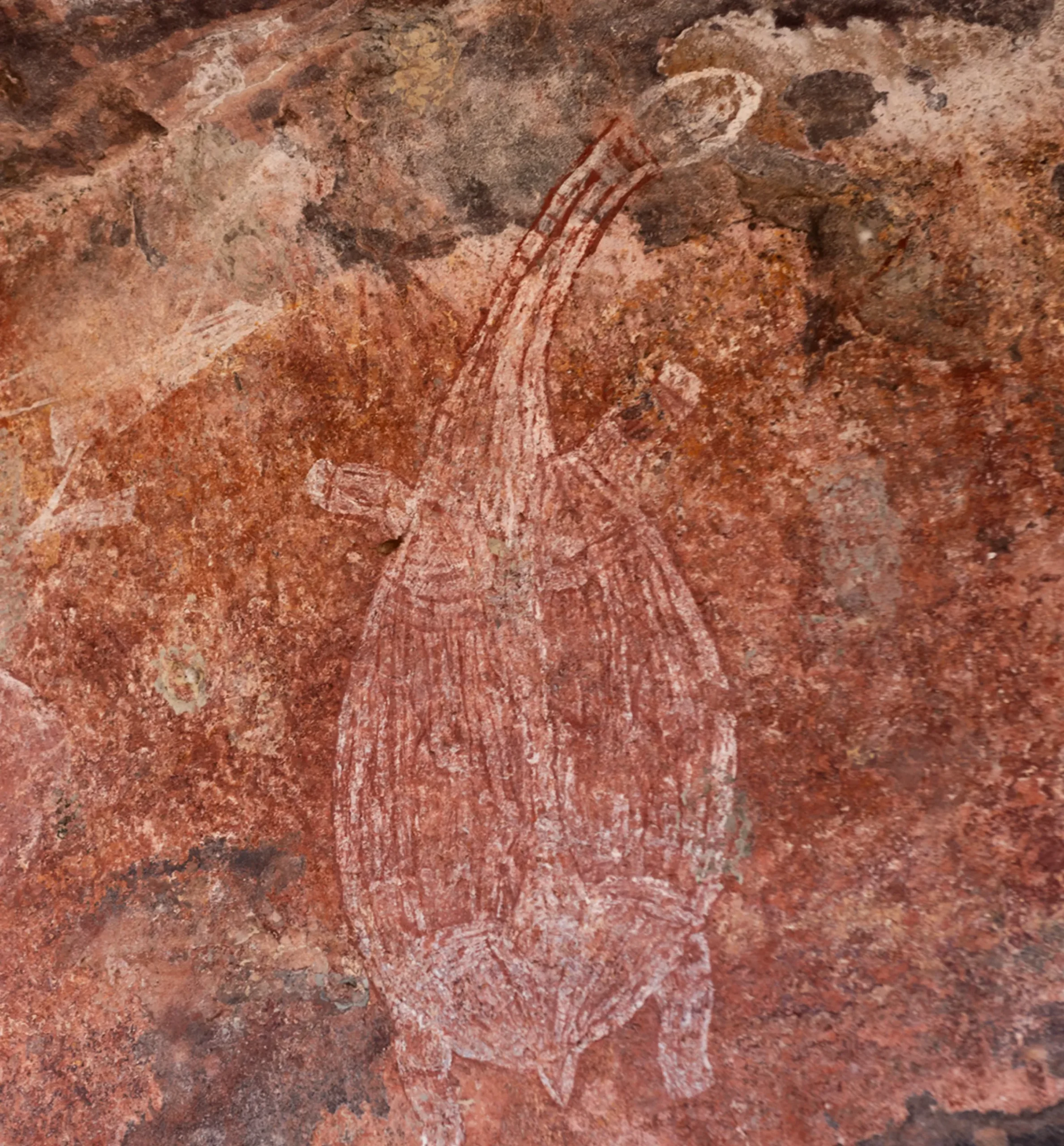 concentrations of rock art
